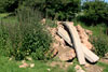 One of the broken shelters.