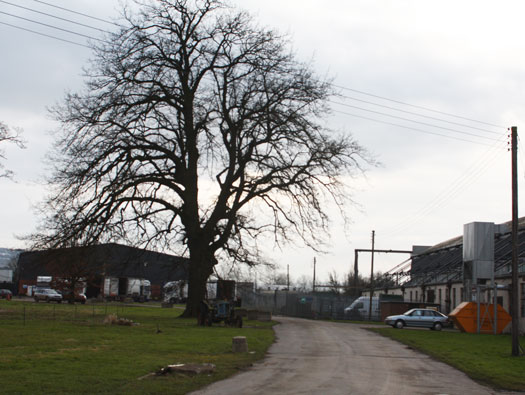 RAF Honeybourne, Airfield Site