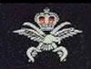RAF Physical Training Instructors badge.