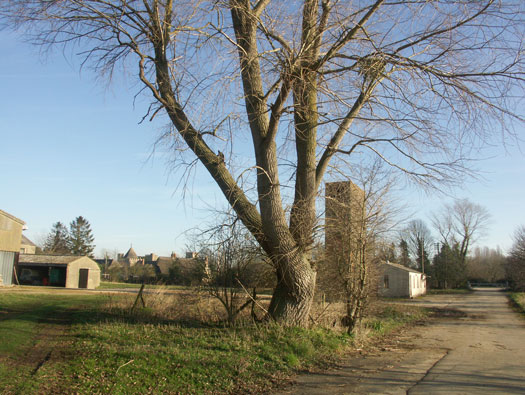 RAF Stanton Harcourt