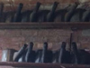 Two shelves of Goose neck flairs.