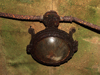 Roof lamp.