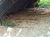 Base of a Blister hangar.