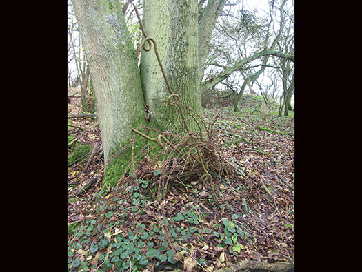 RAF Southrop RLG, Airfield Site