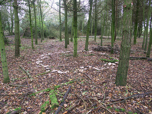 RAF Southrop RLG, Airfield Site