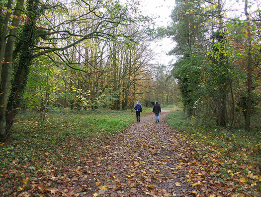 RAF Southrop RLG, Communal Site,