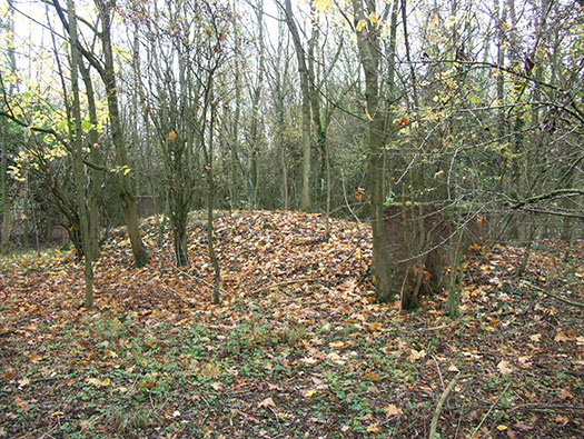 RAF Southrop RLG, Communal Site,