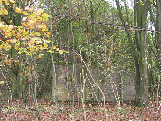 RAF Southrop RLG, Communal Site,