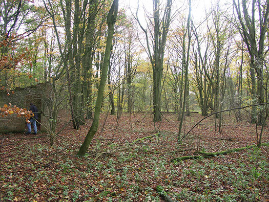 RAF Southrop RLG, Communal Site,