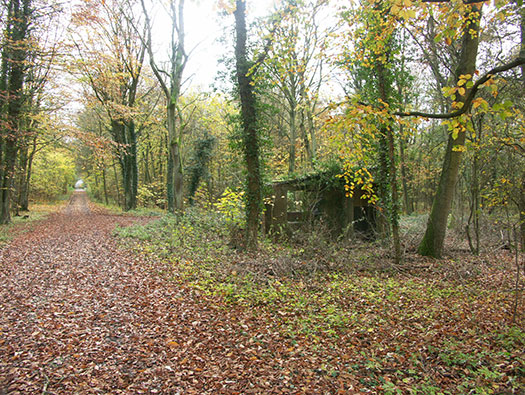 RAF Southrop RLG, Communal Site,