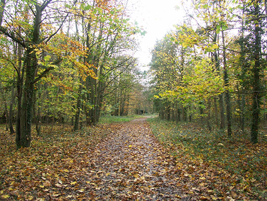 RAF Southrop RLG, Communal Site,