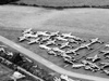 RAF Wroughton Robins Hangars West