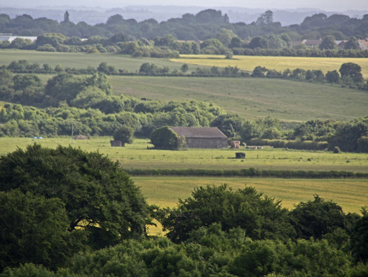 RAF Wroughton, Robins Hangars East