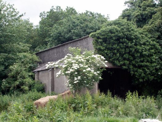 RAF Long Newnton, Airfield Site