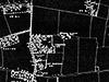 Communal site.