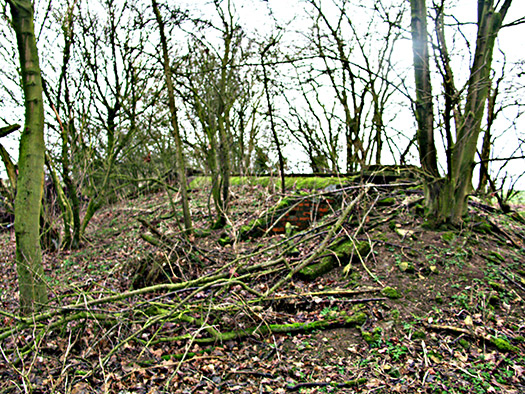 RAF Long Newnton, Communal Site
