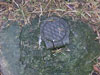 Water outside stop cock.