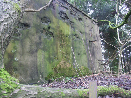 RAF Long Newnton, Decontamination Building
