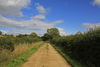 Tell tail military concrete road. You can also have a thin covering of Tar macadam.