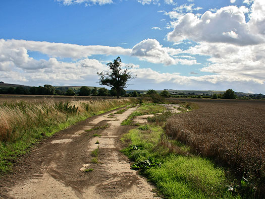 RAF Keevil Bomb Store