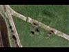 RAF Keevil Bomb Store