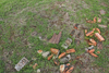 RAF Keevil Bomb Store