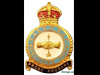 A&AEE badge..
