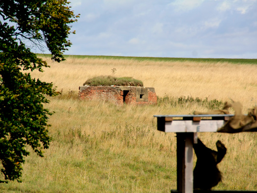 RAF New Zealand Farm 'Exterior'