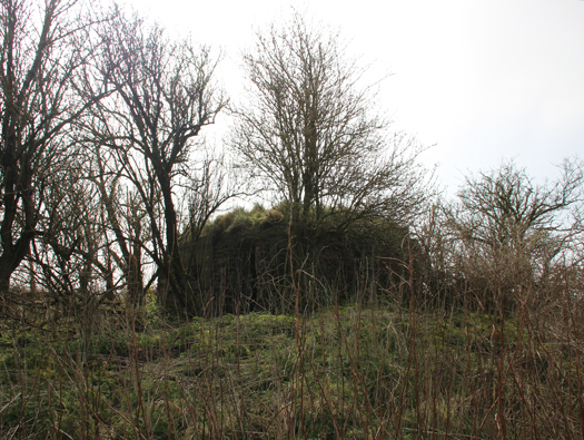 RAF New Zealand Farm 'Exterior'