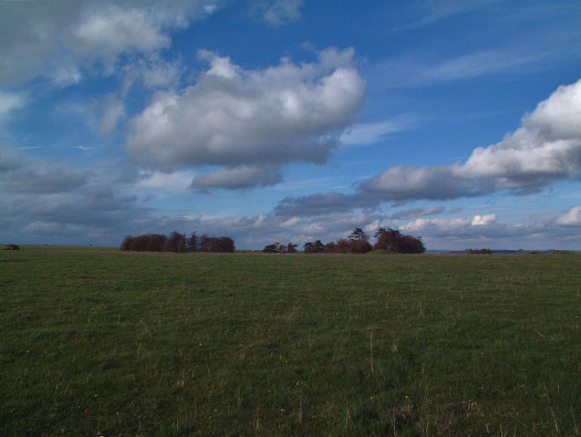 RAF New Zealand Farm 'Exterior'