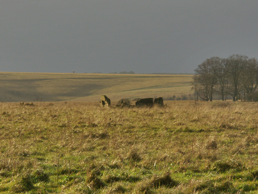 RAF New Zealand Farm 'Exterior'