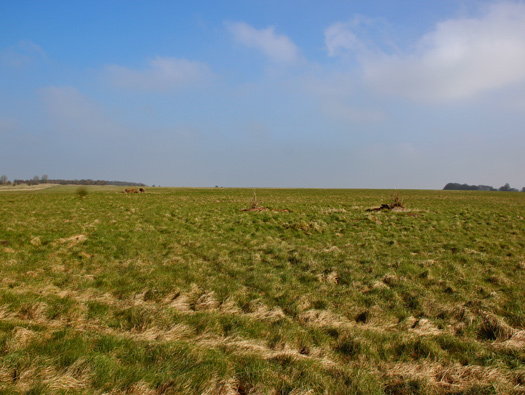 RAF New Zealand Farm 'Exterior'