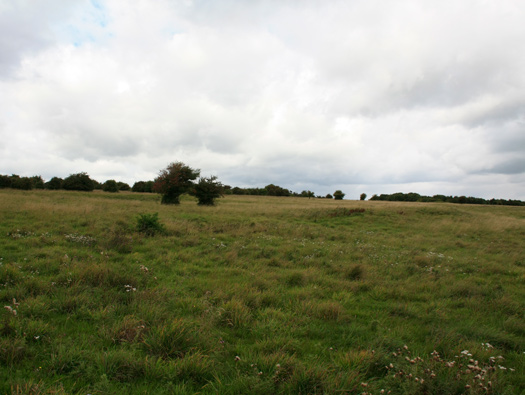 RAF New Zealand Farm 'Exterior'