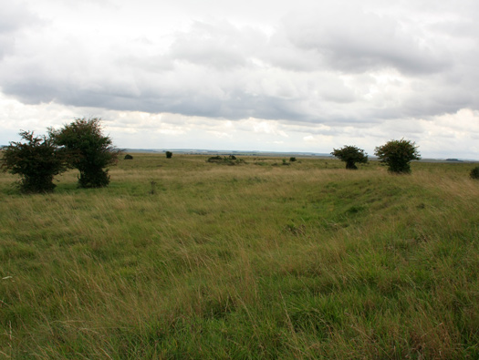 RAF New Zealand Farm 'Exterior'