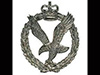 Army Air Corps cap badge.