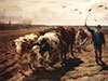 Oxen ploughing.