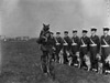 Police dogs. Video link to Police Dogs at Netheravon.