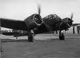 Blenheims.