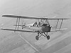 DH Tiger Moth.