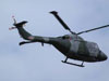 AAC Lynx's.