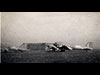 Some Dakotas by one of the 'A' sheds.