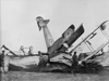 Gale damage.