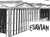Esavian bi-fold doors.