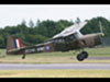 Auster.