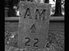 AM±22.