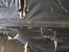 DH10 doped wing covering.