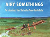 Airy Something by Terry Grace.