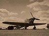 Hurricanes of
    302 and 316
  squadron flew from here.