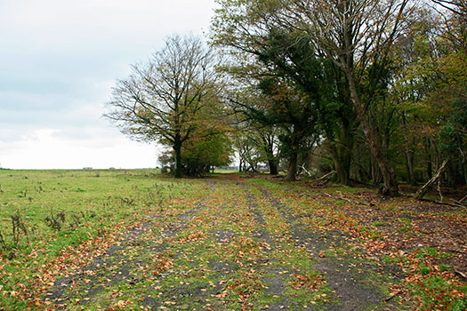 RAF Culmhead, Somerset Airfield Site