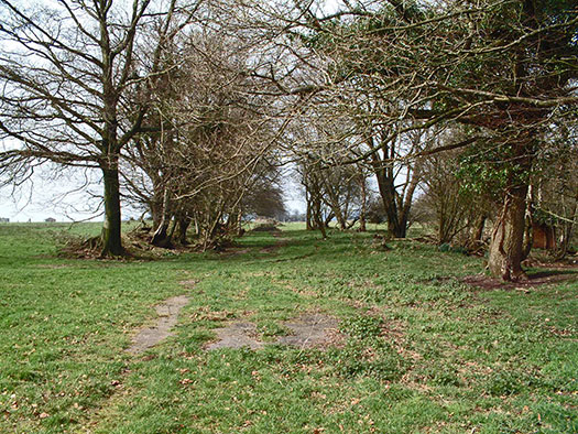 RAF Culmhead, Somerset Airfield Site